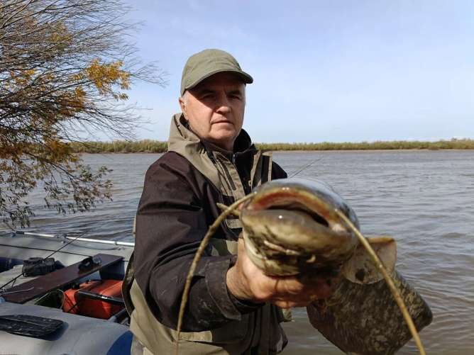 Повадки сома: лучшее время для рыбалки на сома