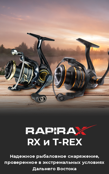RapiraX
