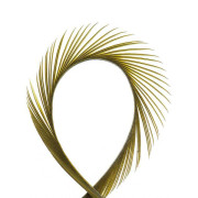 Товар Волокна пера биоты-г...