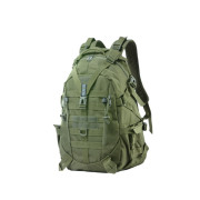 Товар сумка-рюкзак "2...